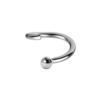 Surgical Steel Fixed Ball Continuous Ring 