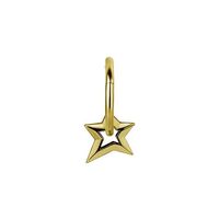 Gold Steel Star Charm - Left Ear