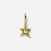 Gold Steel Star Jewellery Charm - Right Ear