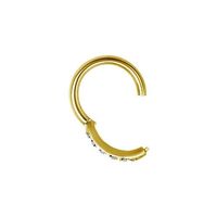 Gold Steel Hinged Ring - Premium Zirconia
