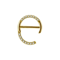 Gold Steel Round Nipple Ring - Premium Zirconia
