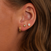 Gold Titanium Hoop Earrings