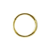 Gold Titanium Hinged Ring