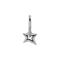 Surgical Steel Star Charm - Right Ear