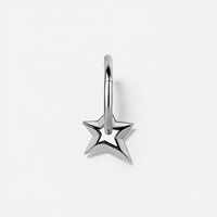 Surgical Steel Star Charm - Right Ear