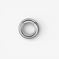 Surgical Steel Hinged Ring