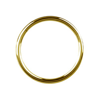 14K Gold Hinged Ring