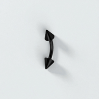 Black Steel Eyebrow Bar with Spikes