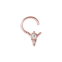 Rose Gold Steel Hinged Clicker Ring - Double Crystal
