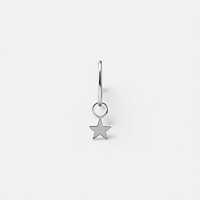Titanium Star Charm