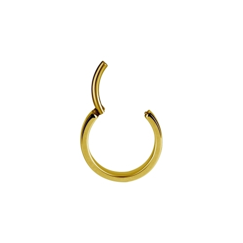 Gold Steel Conch Ring