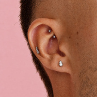 Surgical Steel Rook Bar