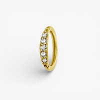 Gold Steel Hinged Ring - Premium Zirconia
