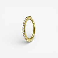 Gold Nickel Free Cobalt Chrome Hinged Ring - Fine Premium Zirconia