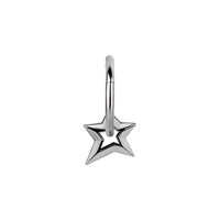Surgical Steel Star Charm - Left Ear