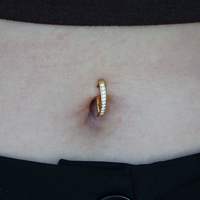 Gold Titanium Belly 'D' Ring - Channel Set Cubic Zirconia - 14 Gauge - 10mm