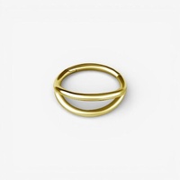 Gold Nickel Free Cobalt Chrome Hinged Ring - Double Layer