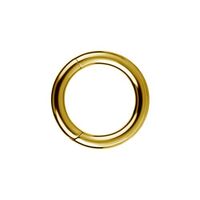 Gold Titanium Hinged Ring