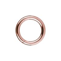 Rose Gold Titanium Hinged Ring