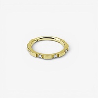Gold Steel Hinged Ring - Premium Zirconia Intervals