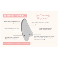 Essential Beauty Skin Gym Gua Sha