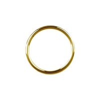 Gold Steel Hinged Ring