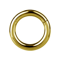Gold Titanium Hinged Ring