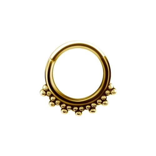 Gold Steel Hinged Ring - Halo