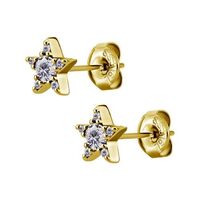 Gold Steel Ear Studs - Cubic Zirconia Star