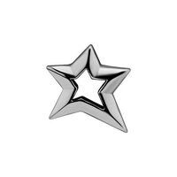 Surgical Steel Star Charm - Right Ear
