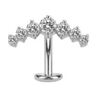  Titanium Clawset Cluster Cubic Zirconia - Threadless 14G - 10mm Floating Navel