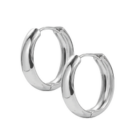 Titanium Hoop Earrings