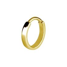 Gold Steel Conch Ring