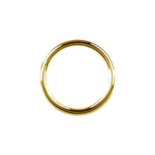 Gold Steel Hinged Ring