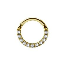 Gold Steel Hinged Clicker Ring - Front Facing Premium Zirconia