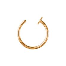 Gold Steel Open Nose Ring