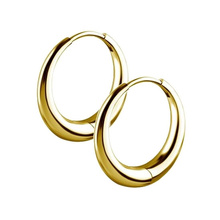 Gold Nickel Free Cobalt Chrome Hoop Earrings