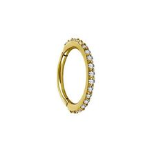 Gold Nickel Free Cobalt Chrome Hinged Ring - Fine Premium Zirconia