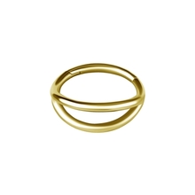 Gold Nickel Free Cobalt Chrome Hinged Ring - Double Layer