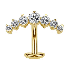 Gold Titanium Clawset Cluster Cubic Zirconia - Threadless 14G - 10mm Floating Navel