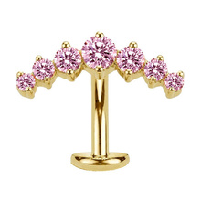 Gold Titanium Clawset Cluster Pink Cubic Zirconia - Threadless 14G - 10mm Floating Navel