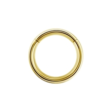 18K Gold Hinged Ring