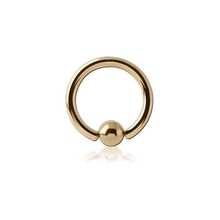 Zircon Gold Titanium Ball Closure Ring